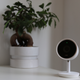 Image for article titled I'm Tired of Broken Smart Homes